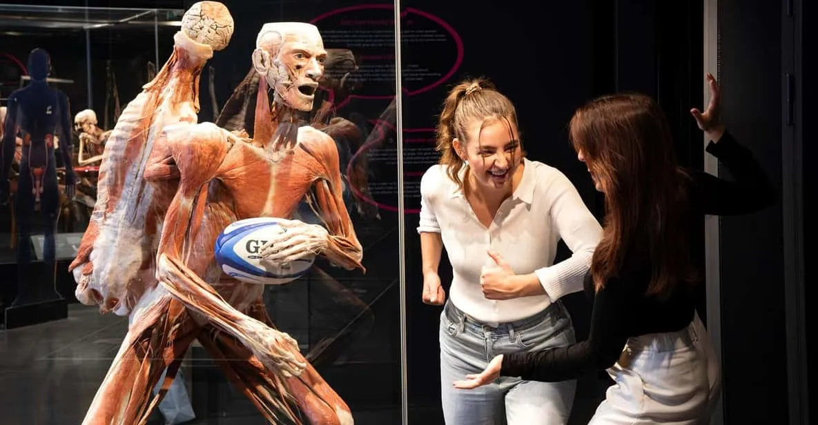 BODY WORLDS plastinated anatomy exhibition, Amsterdam