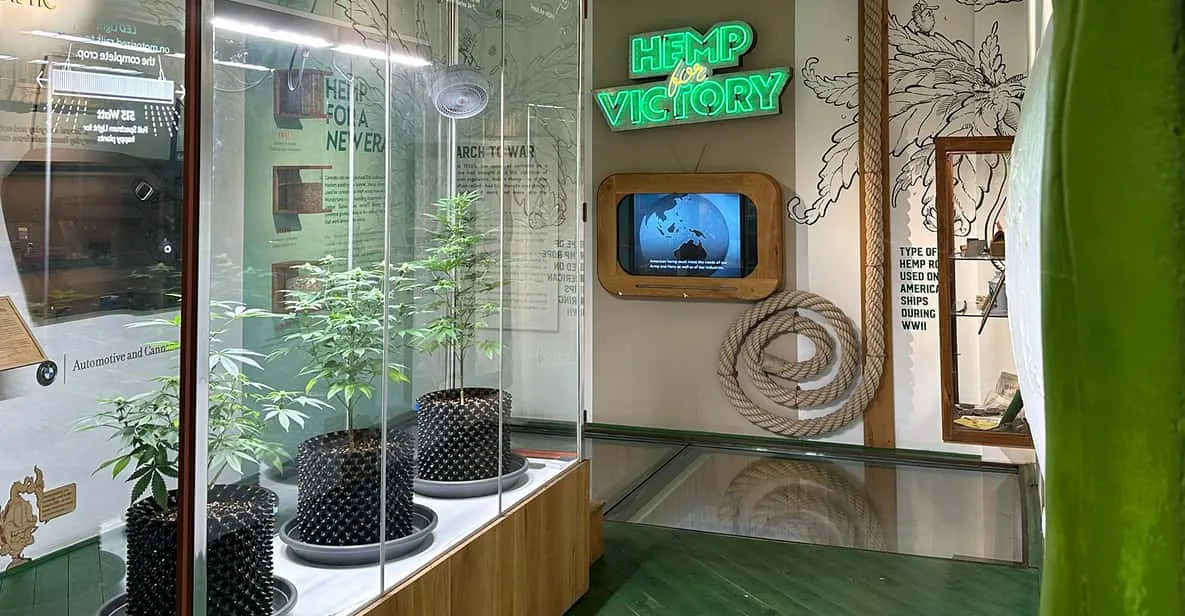 Cannabis Museum exhibit on Amsterdam's cannabis history